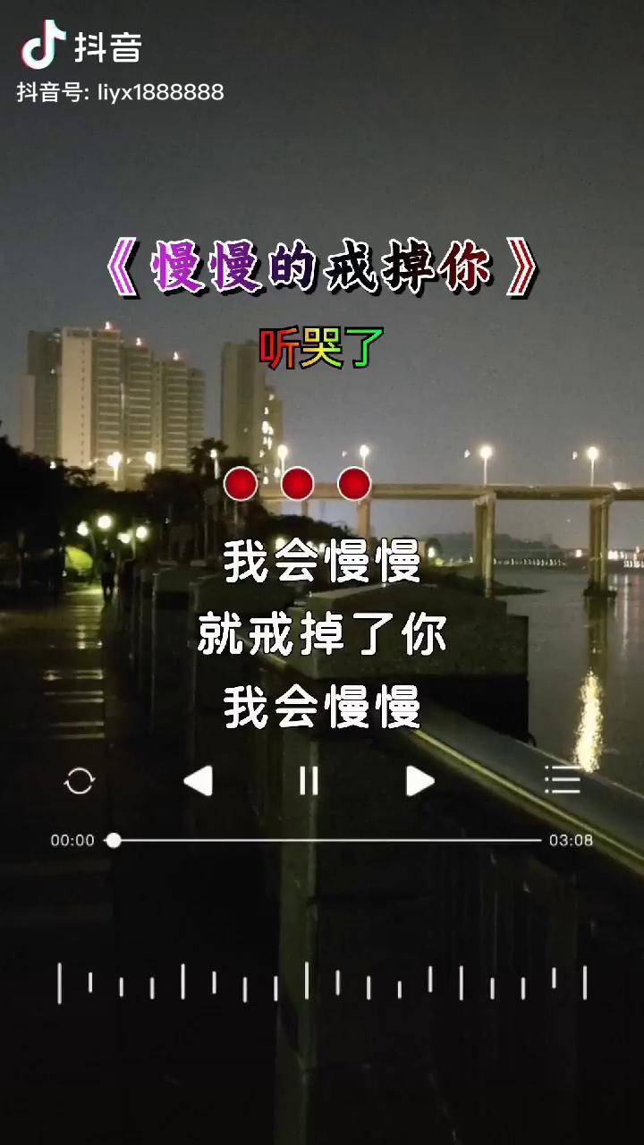 我会慢慢的戒掉了你,我会慢慢的把你忘记,经历太多又学会了不喜不悲