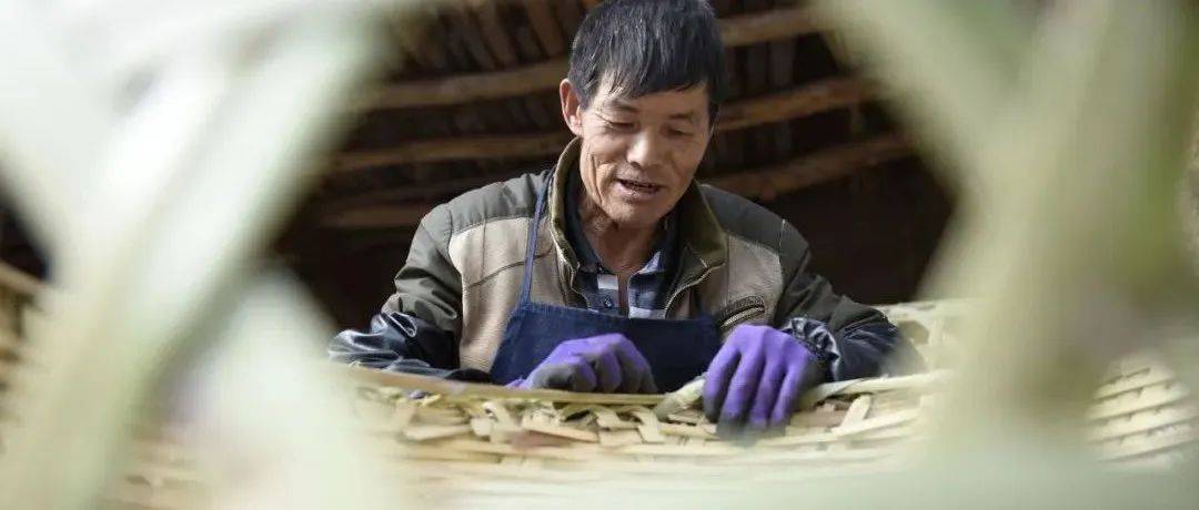 王美发：传承编织技艺 守护美丽家园_烤烟_竹子_篮子
