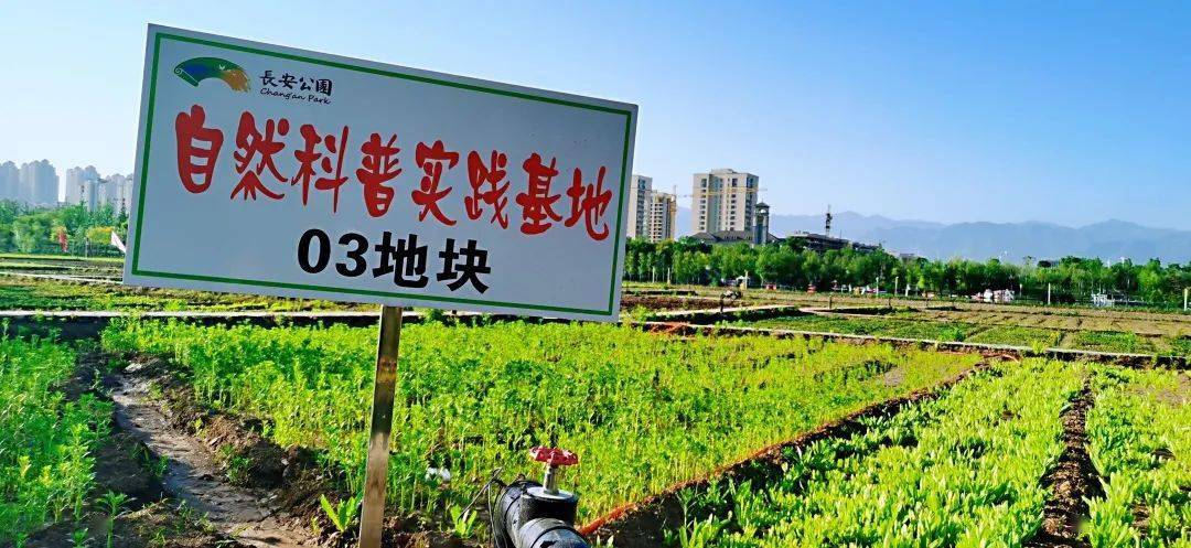 长安公园自然科普基地通过自然科普教学,农耕文化体验和粮食工坊手工