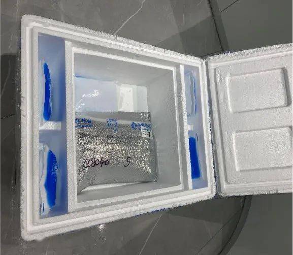 传统采用双层泡沫箱 冰袋运输采用单层保温箱,猪精液保温时间太短.