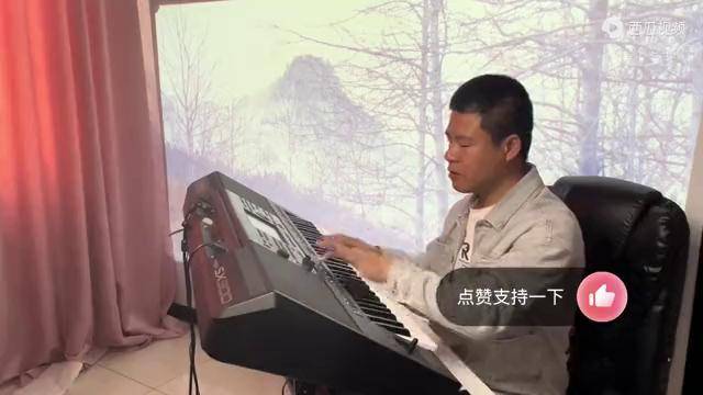 電子琴精彩演奏視頻經典老歌dj阿里山的姑娘