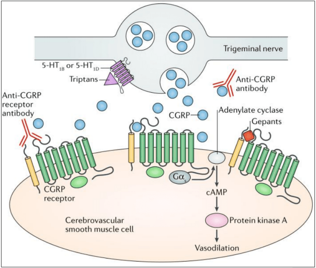 头疼药排行_2022年首现百亿美元收购案,辉瑞能给偏头痛市场和MNC带来什么?