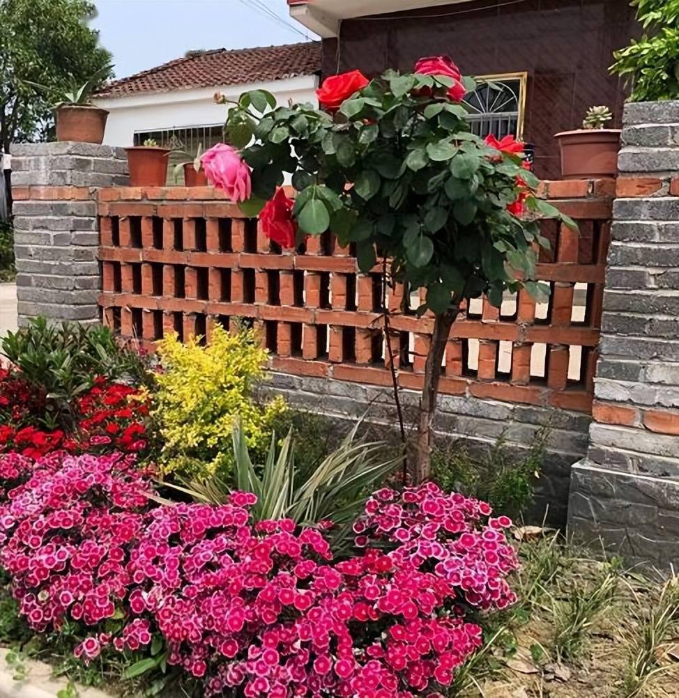 美丽乡村入画来纪南文旅区推进乡村振兴工作综述