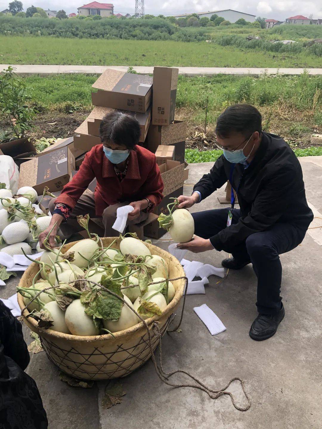 党员志愿者服务队抗疫助农两不误_刘明亮_瓜果_销售点