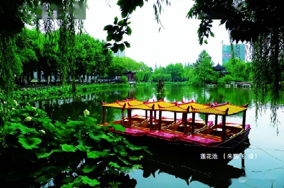 昔日的汉中莲花池_莲花池公园_水面_孩子