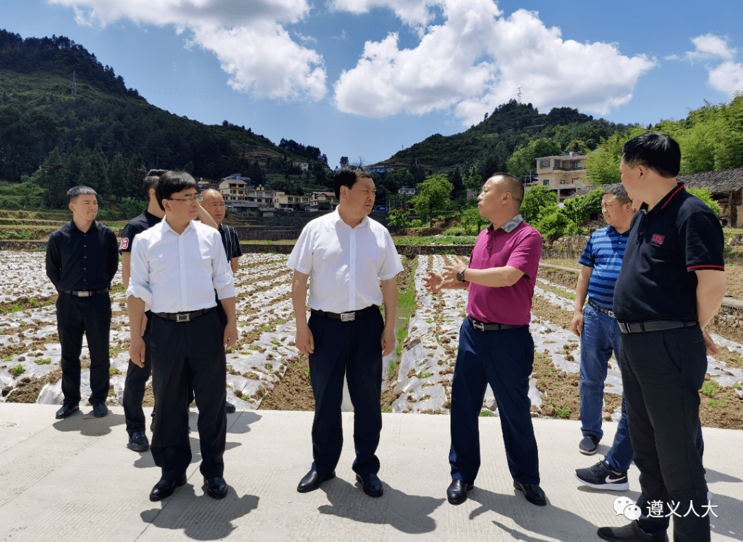 杨游明带队赴仁赤习开展《乡村振兴促进法》执法检查_产业_发展_赤水