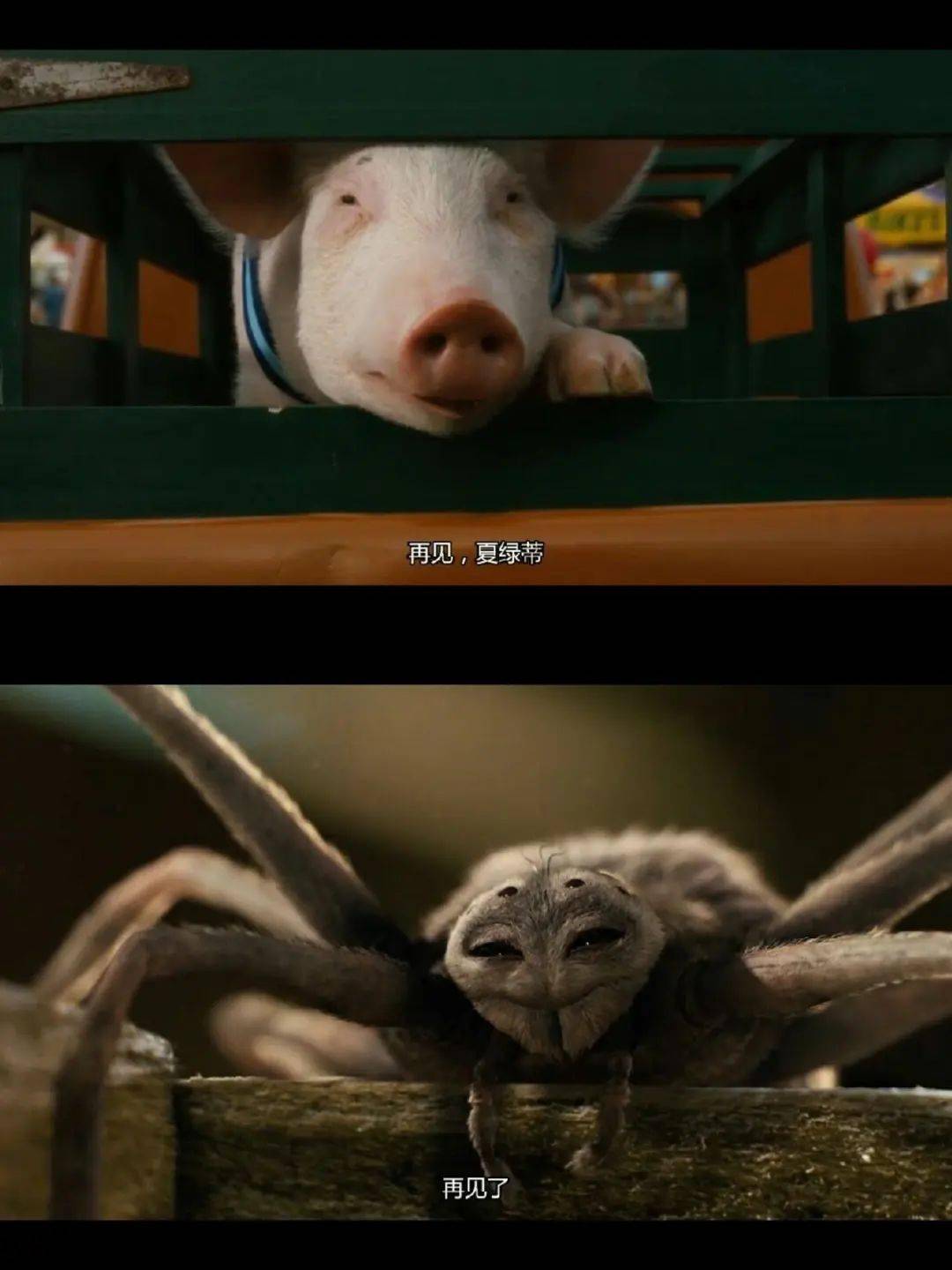 《夏洛的网》:一则孩子也能读懂的生命寓言_威尔伯_转折_弗恩