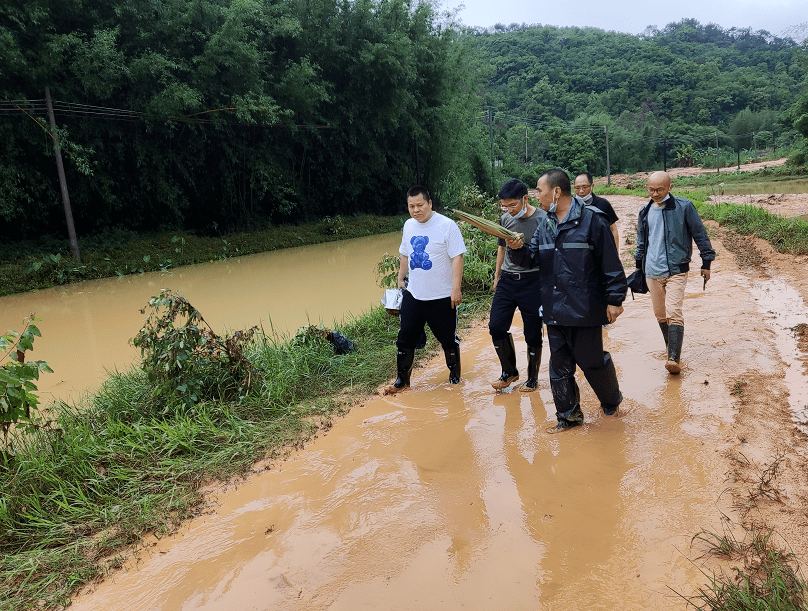 佛冈坚决打赢防汛主动战!_工作_汤塘_龙山