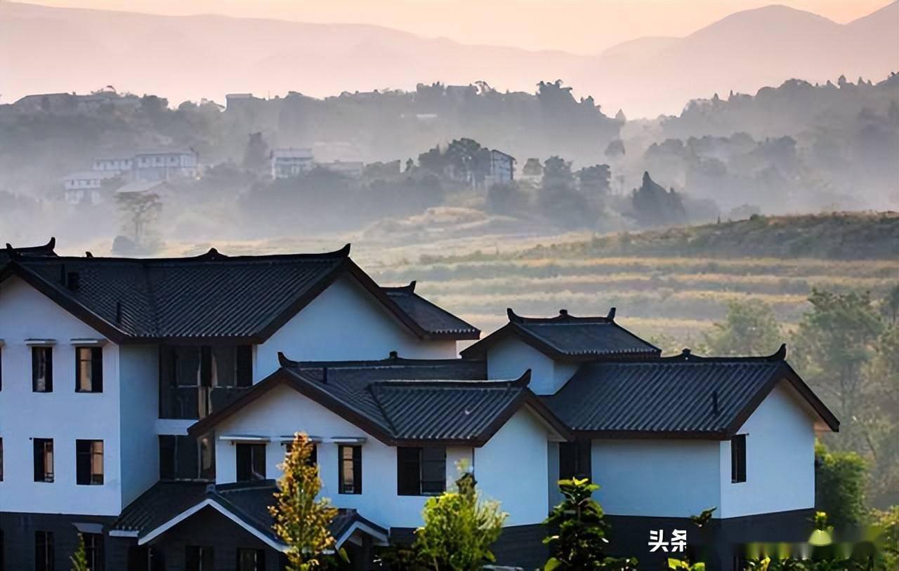 山村旧貌换新颜,党旗光辉耀竹乡_群众_山陂_毛竹