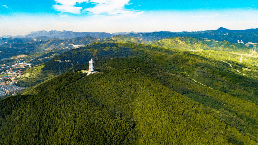 “林业英雄”孙建博与他的绿色使命