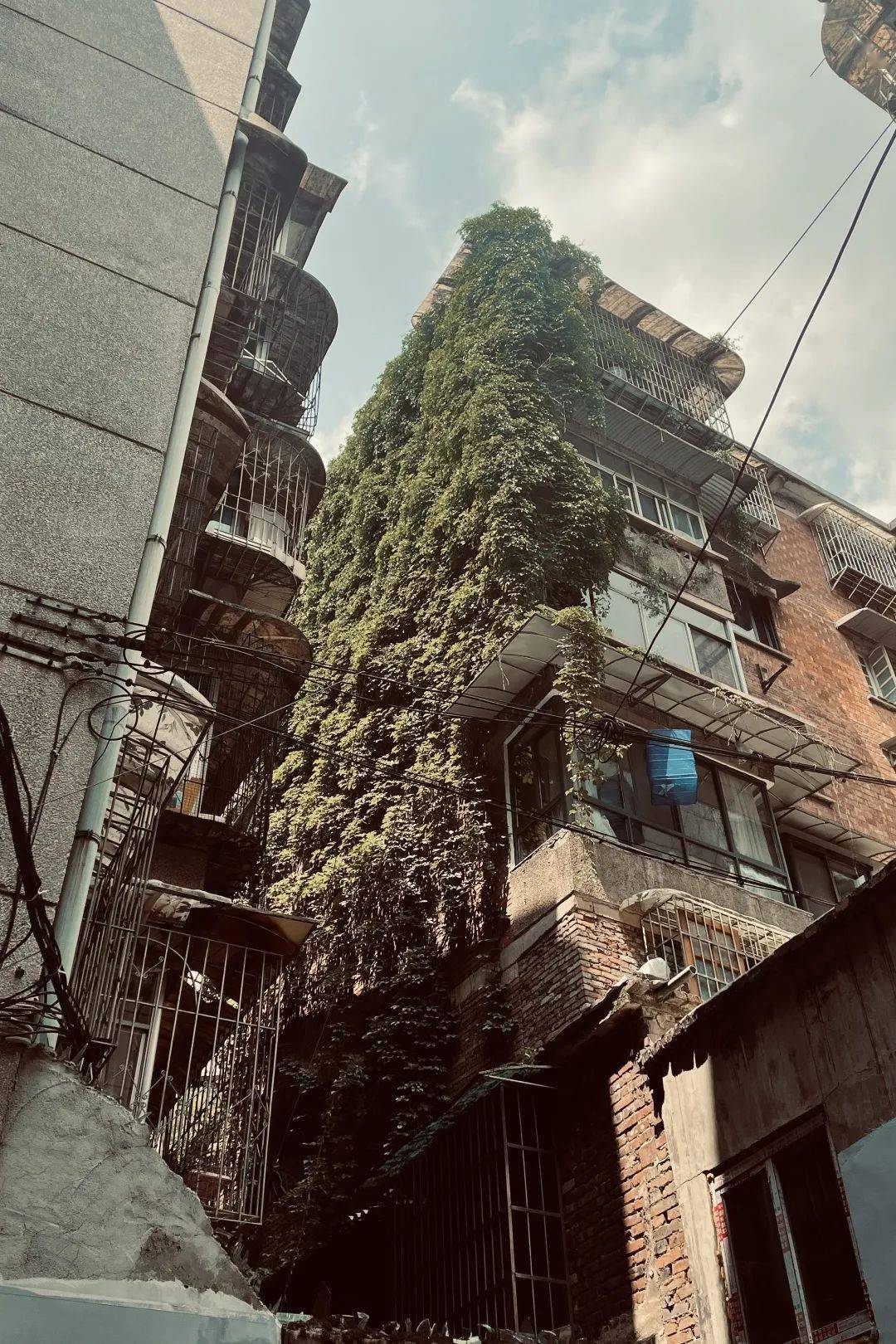 贵阳故事(十八)|虎门巷:但得人间烟火_巷子_居民_社区