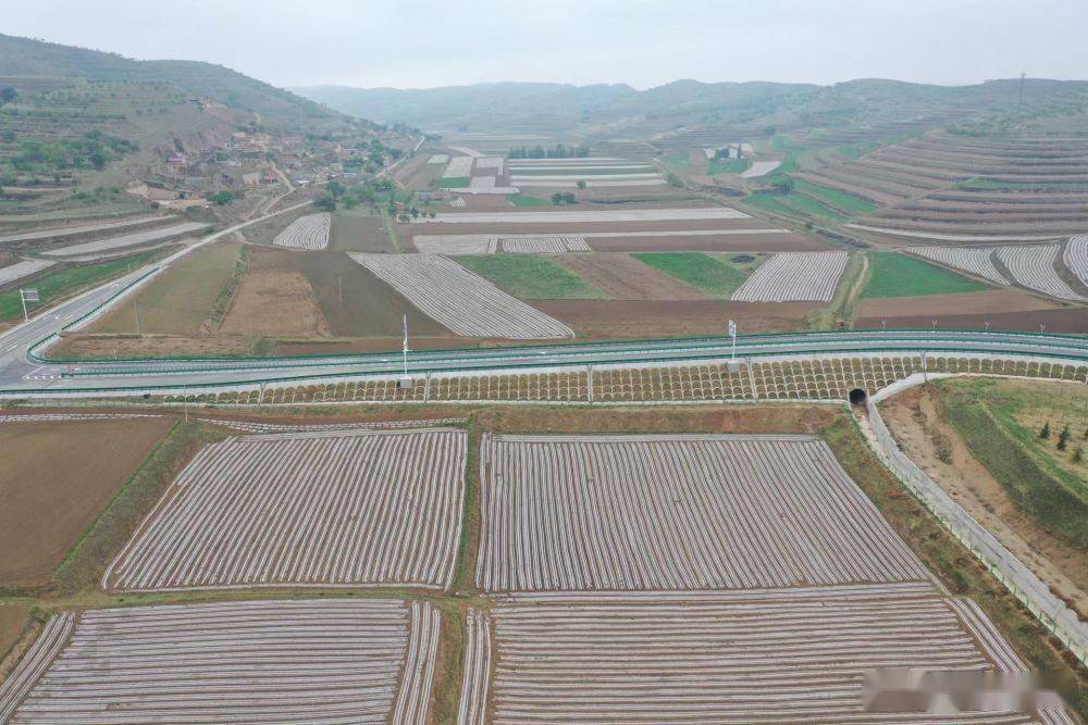 车道镇双庙村党支部书记兼村委会主任贺尚乾谈到二车公路开通,难掩