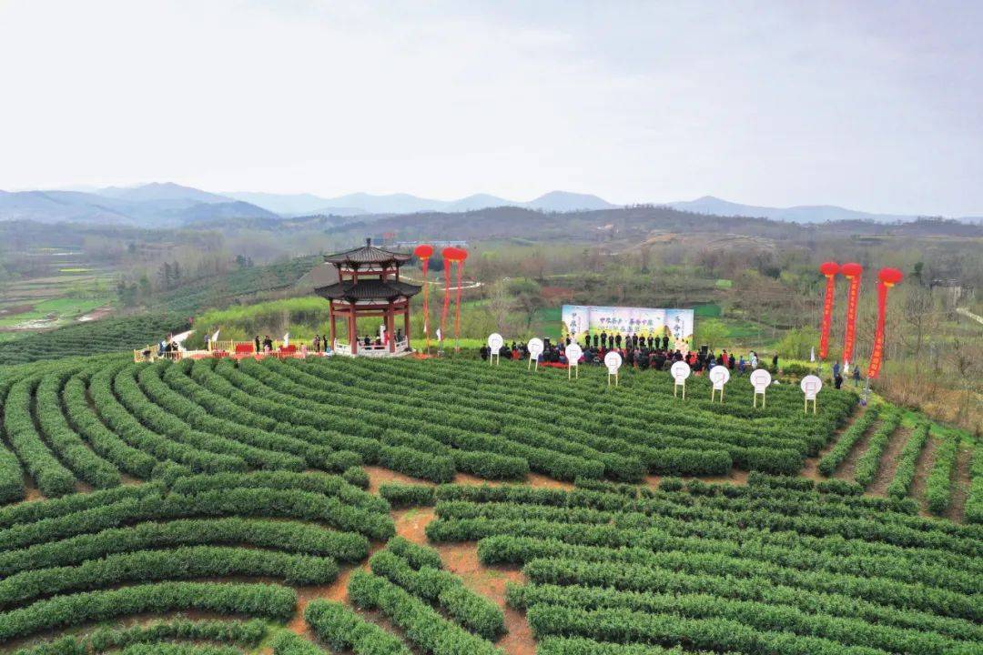 桐柏茶旅小镇图片