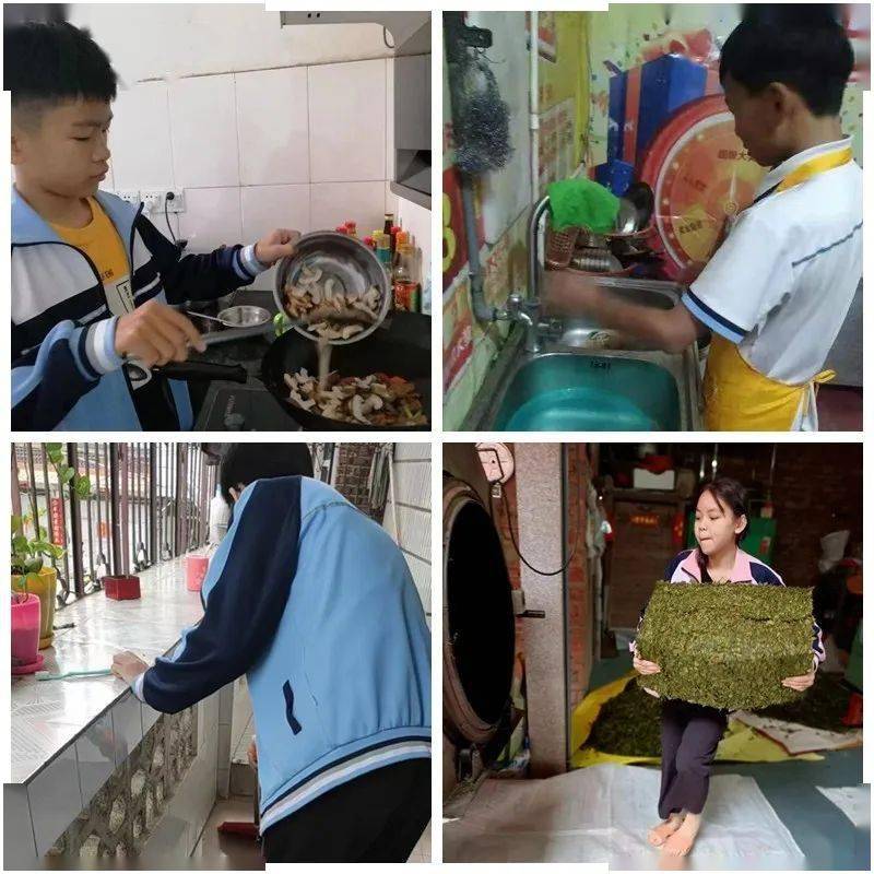 劳动教育以劳为美梧桐中学开展2022年劳动教育周活动