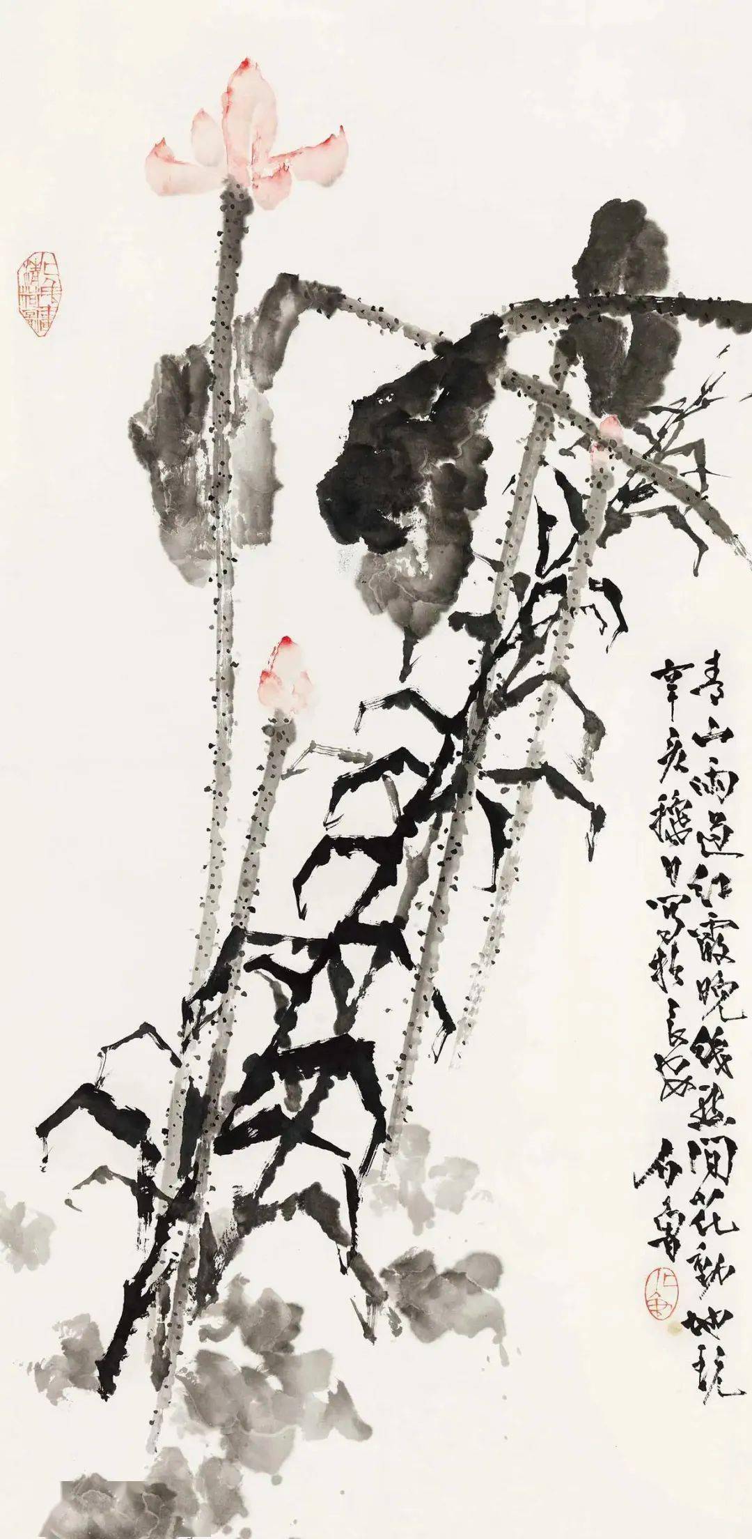 石鲁画荷别有一番风味