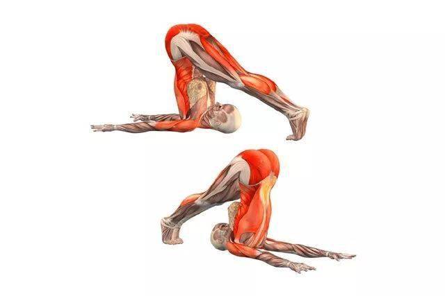 大腿_地面_姿势