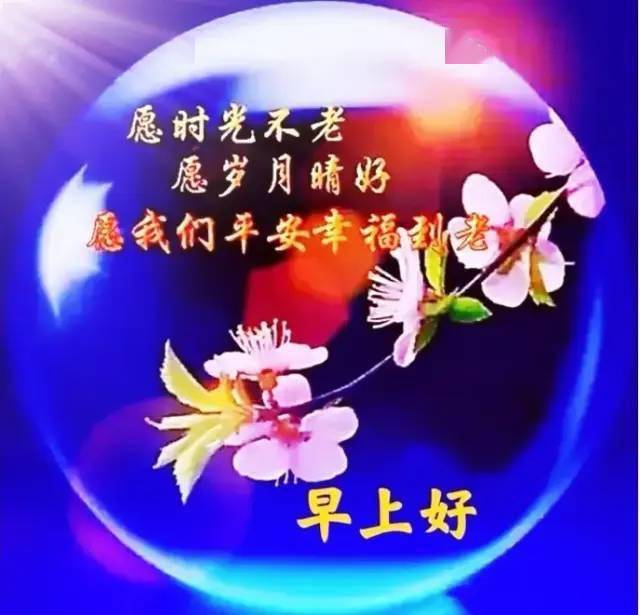 早上好问候语(时光不老,你我都好)