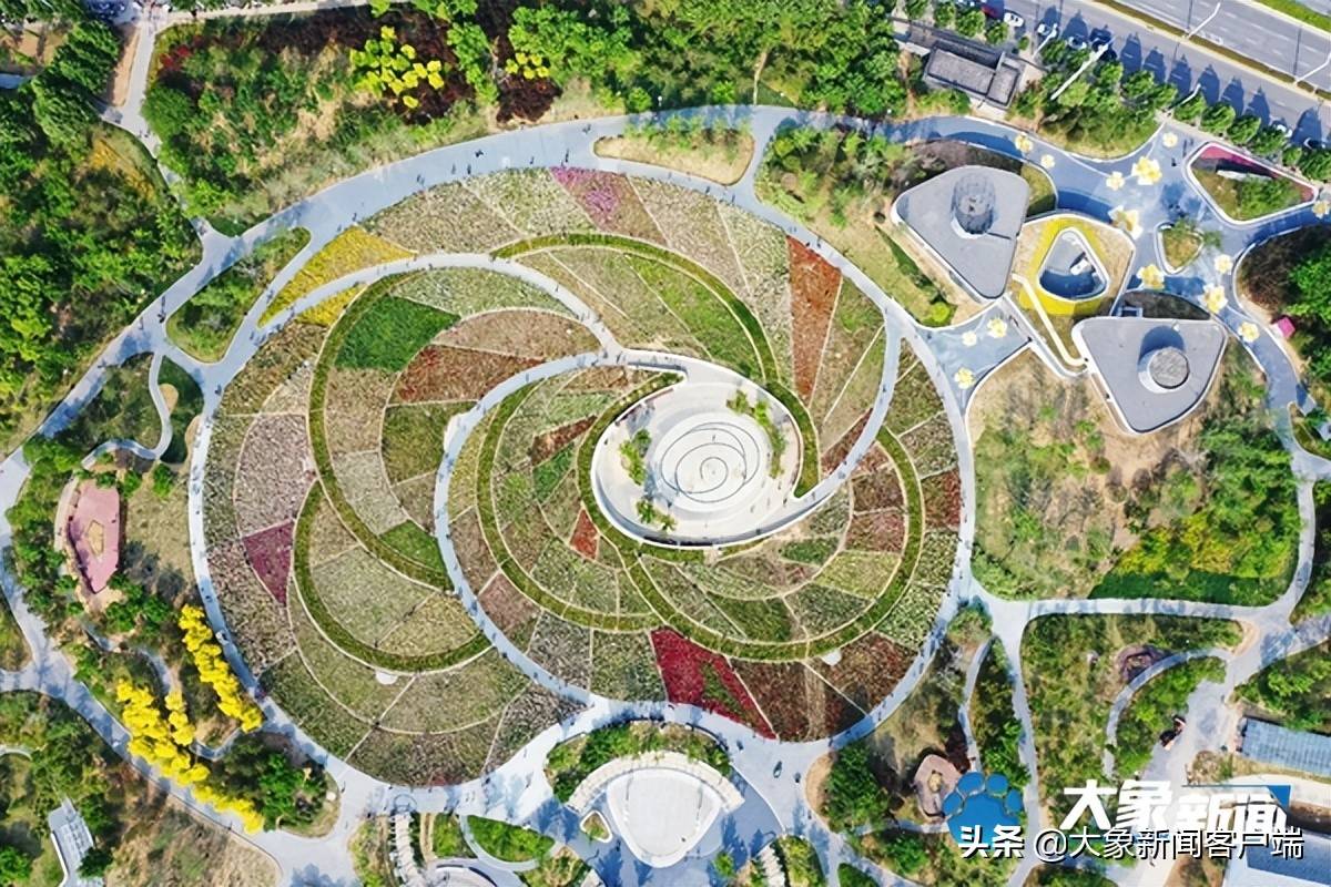 占地150亩郑州月季花海爆火名字超好听