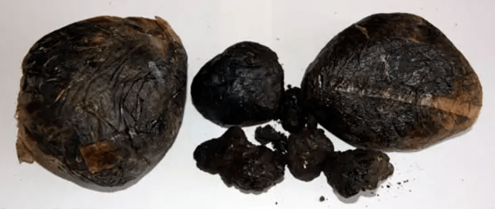 "警察叔叔,我们在山坡发现了罂粟!"_毒品_禁毒_鸦片