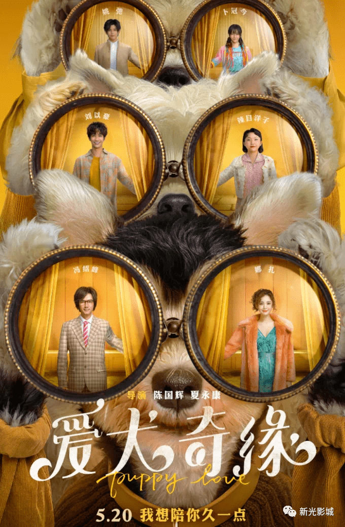 【520上映】《爱犬奇缘》《唐顿庄园2》_宠物_情感_爱情