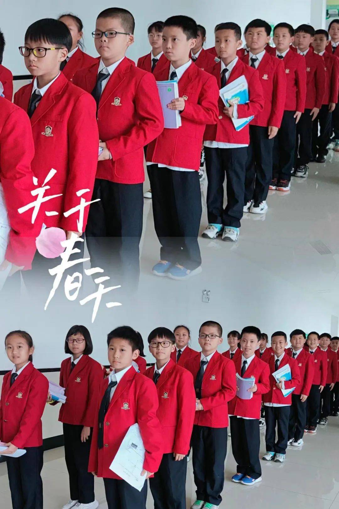 天津枫叶国际学校校服图片