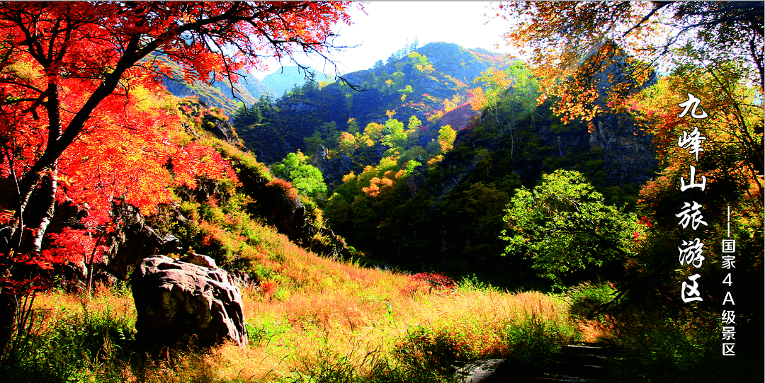 九峰山自然保护区总面积460多平方公里由东九峰,西九峰,大西梁,杆林背