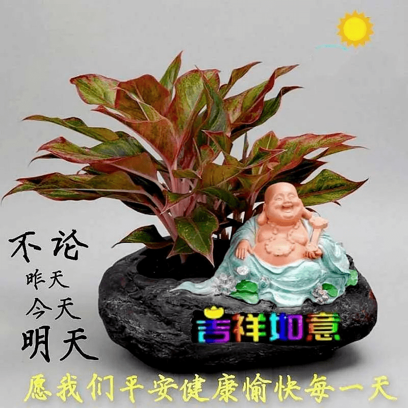 早上好表情包願朋友四季平安天天快樂一生幸福