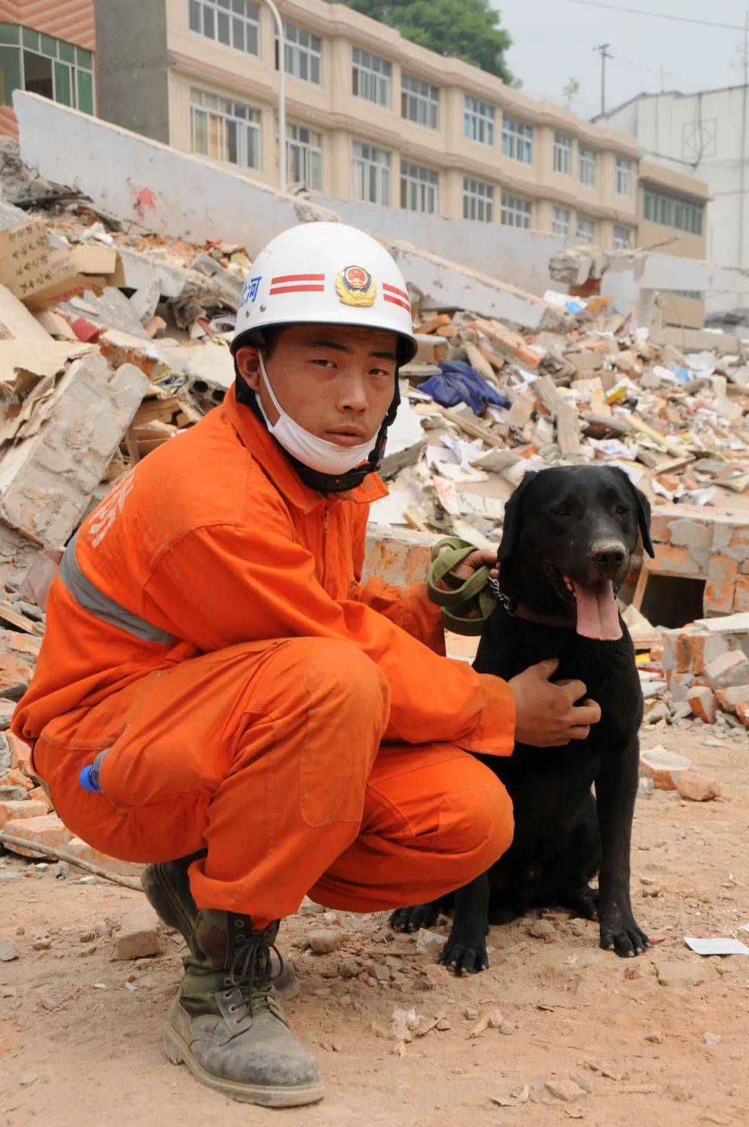 67只汶川地震搜救犬全部离世感谢ta们曾为我们拼过命