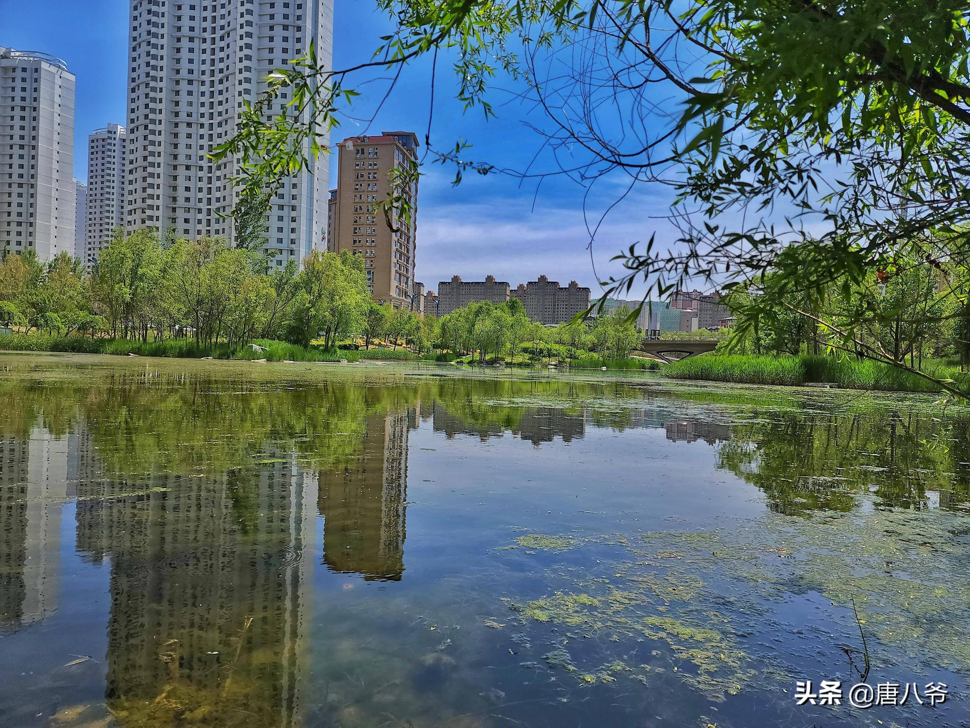 海湖新区图片