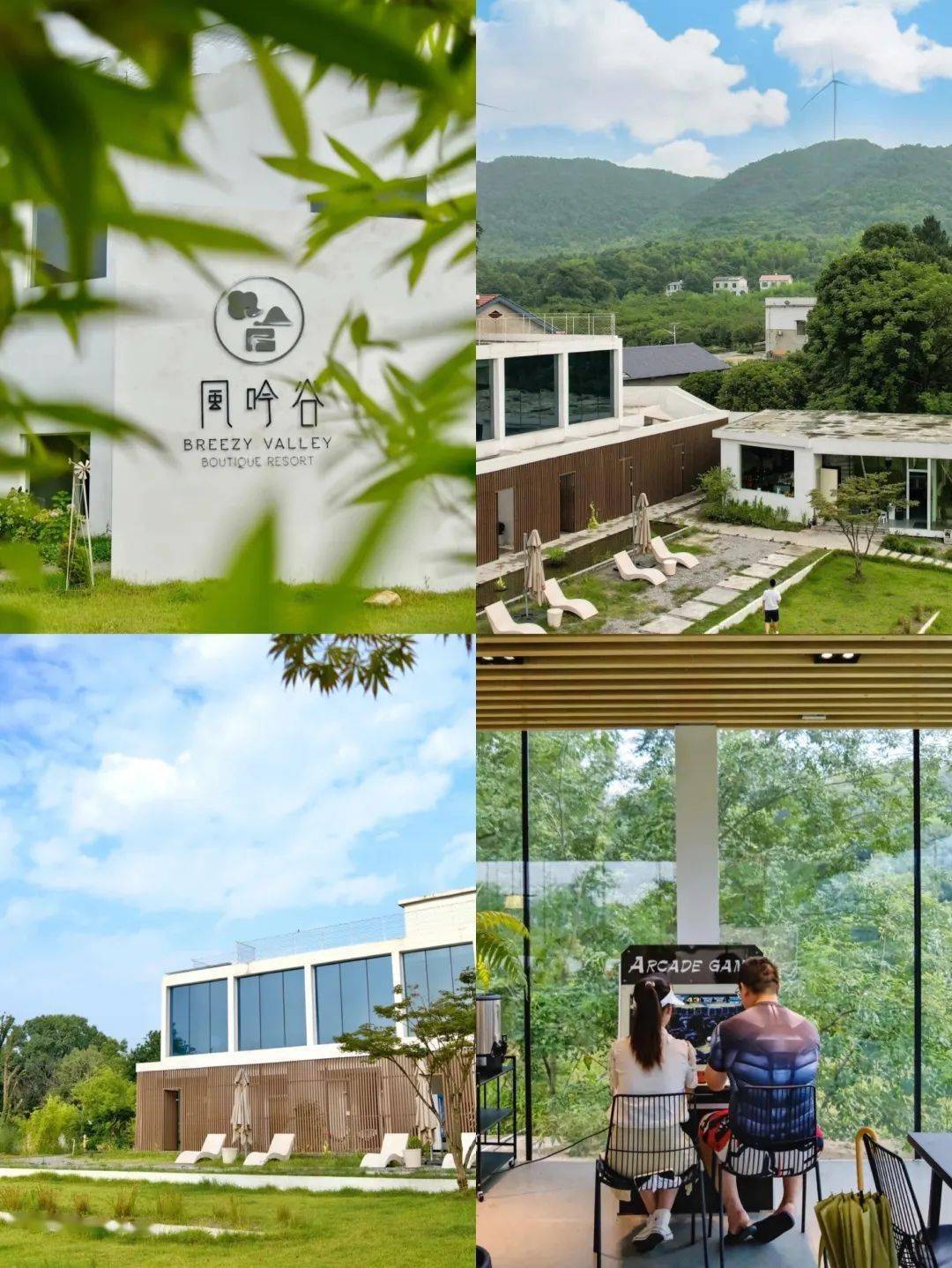 你要是这样告白,我可就答应了_莲花_蜗牛_余光中