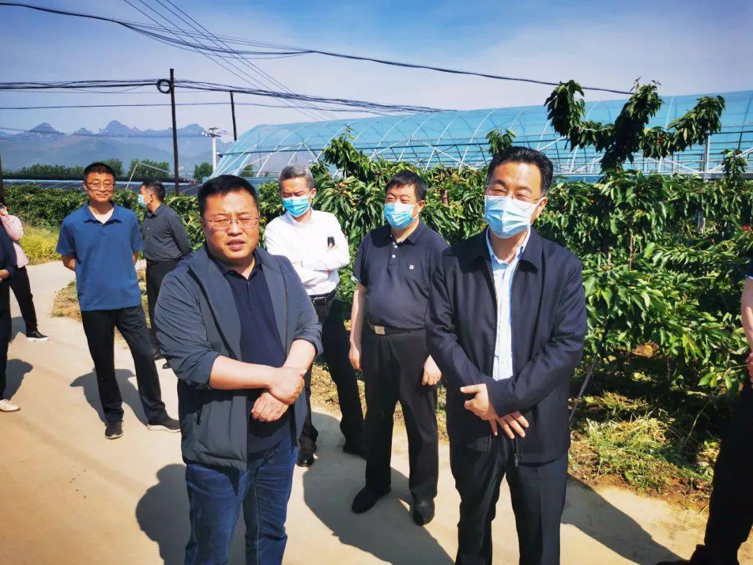 孙晨光到易县调研督导时强调以联动监督实效带动整体工作水平再上新