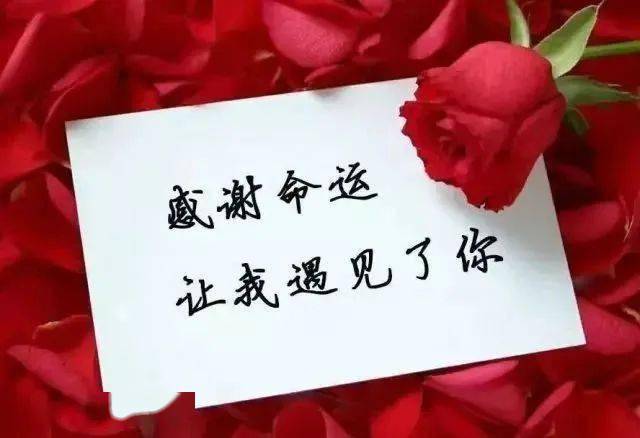 下蓝字"妮妮"关注,每天为你提供大量经典美文,完全免费,请放心关注!