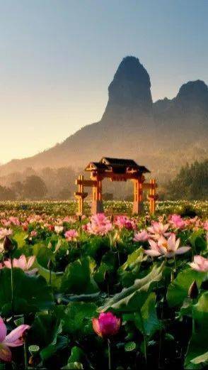 免票半价519中国旅游日赣州各地推出优惠活动带你嗨