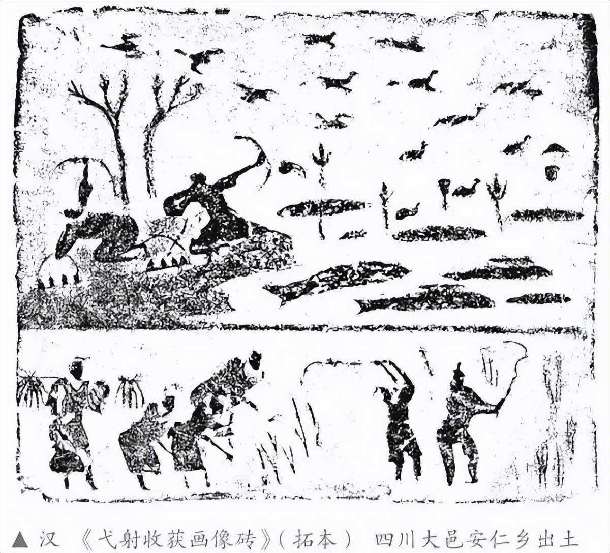 首先介绍了汉代的画像石,画像砖,上面记录了当时社会的各种场景.