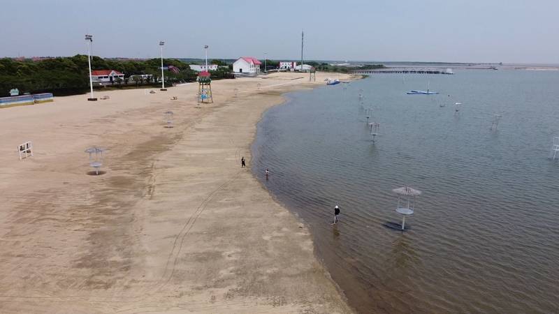 上海奉贤“碧海金沙”迎来今年首批游客，预约名额被一抢而空