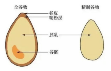 如何科学选择食用全谷物食品?