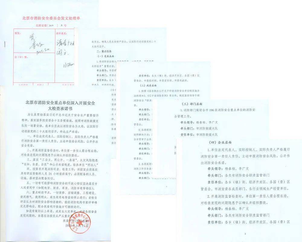 展消防安全大检查承诺书》196份，各单位共开展火灾隐患自检自查300余次。
