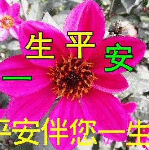 祝福朋友,健健康康身体好,平平安安一辈子_语言_情谊_时光