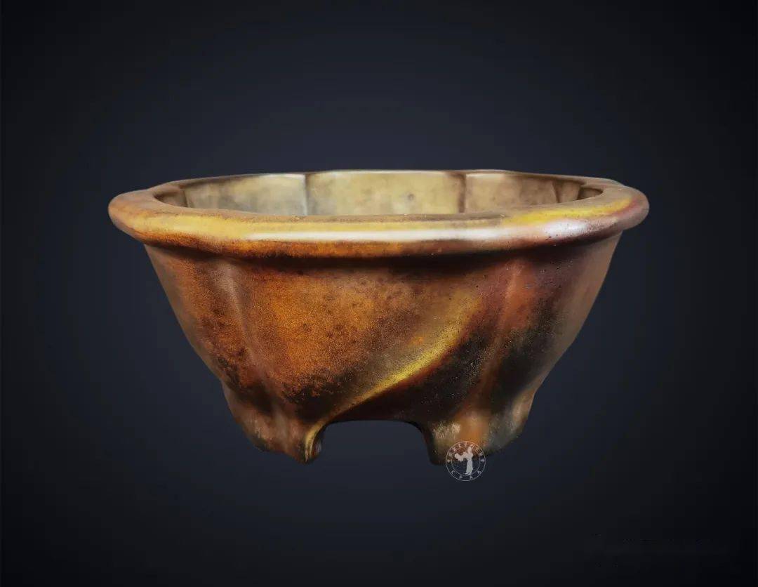 水明盆为何深受盆景界青睐不妨看到最后