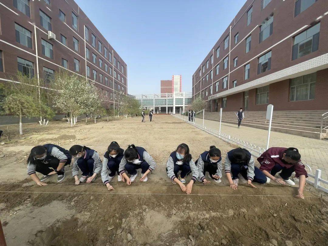 包头市蒙古族中学图片