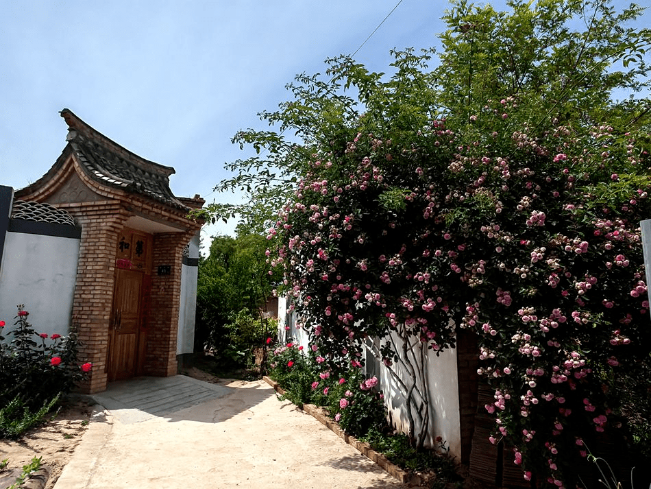 【 喜迎省第十四次党代会】麦积区渭南镇青宁村 : 乡村"蝶变"展新颜