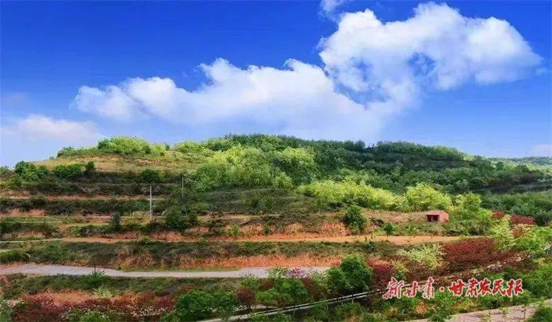 外媒看灵台丨灵台:美丽乡村入画来 人居环境展新颜_家庄村_整治_龙门