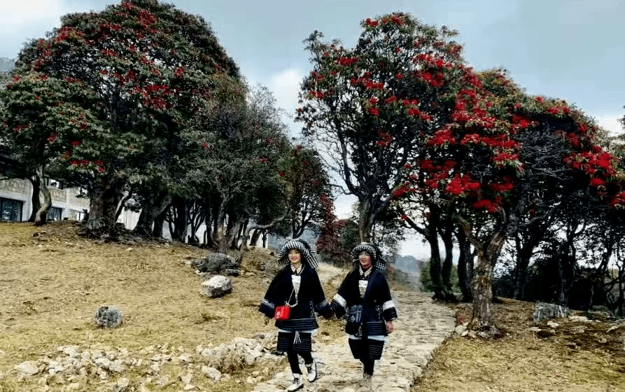 创建全国民族团结进步示范市乌木龙乡团结奋进迈向更美好的生活