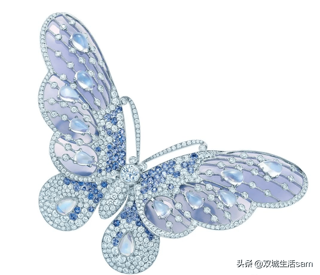 �����ڱ�ʯ���ϵ���Щ�����¡�