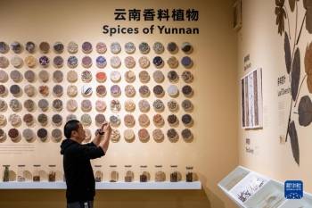 昆明有座"种子博物馆"「图」_植物_扶荔宫_曹梦瑶