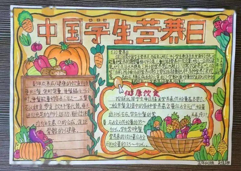 新源小学:膳食新指南 健康常相伴_营养_食物_饮食