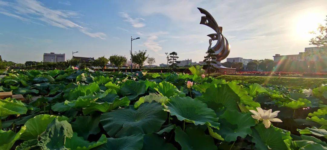 瓜沥这个村顺利通过区级验收_航民村_乡村_建设