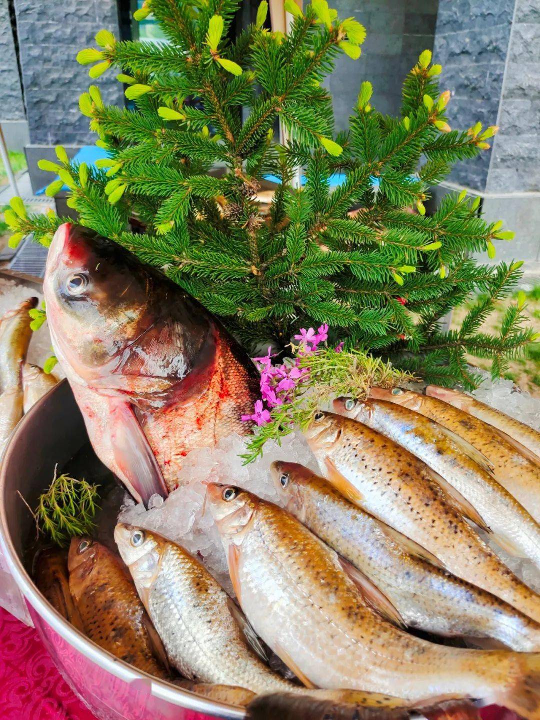 现场开灶烹饪特色松花江鱼宴松江鱼味美飘香,携带家人来品尝用双脚