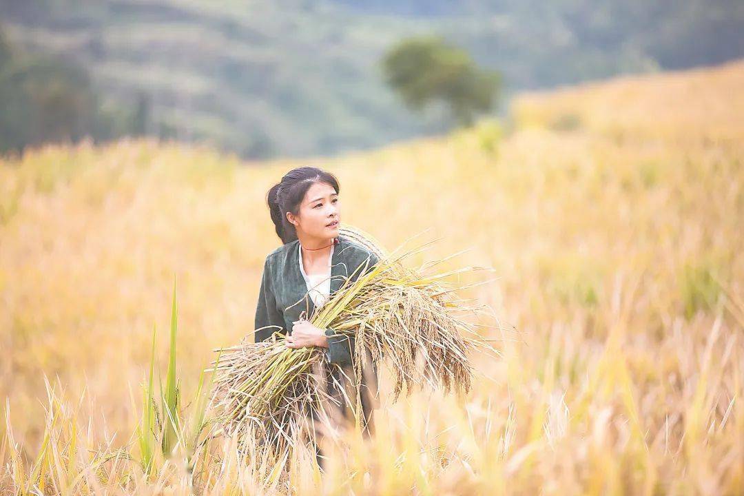 寻找稻香一个文艺女青年的返乡垦荒实践与稻田文创试验