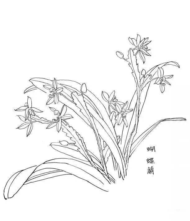 白描简单 初学者图片